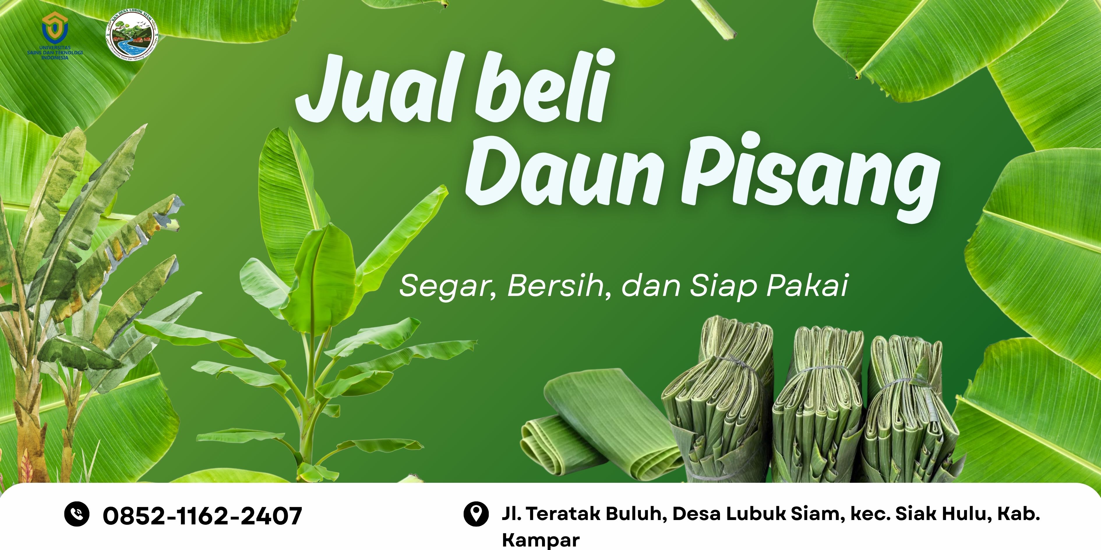 Daun Pisang